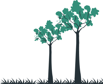 Decorative tree illustration representing growth and sustainability
